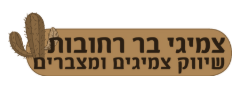 צמיגי בר רחובות