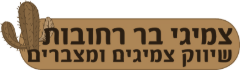 צמיגי בר רחובות